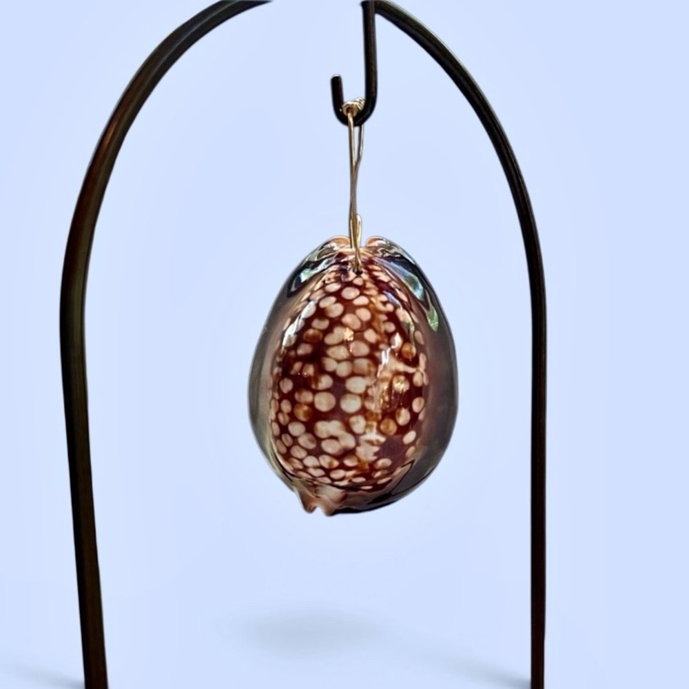 Humpback Cowry‎ Cowrie Shell Gold Wire Bail EUC